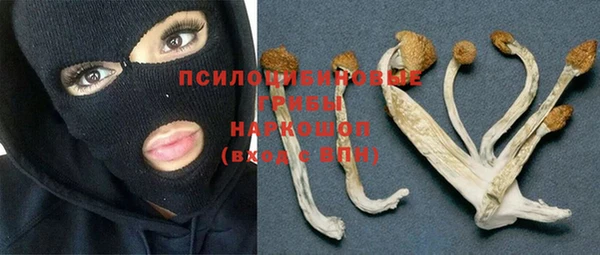 jwh Коряжма