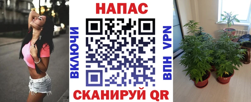 mega онион  Лиски  Конопля конопля 